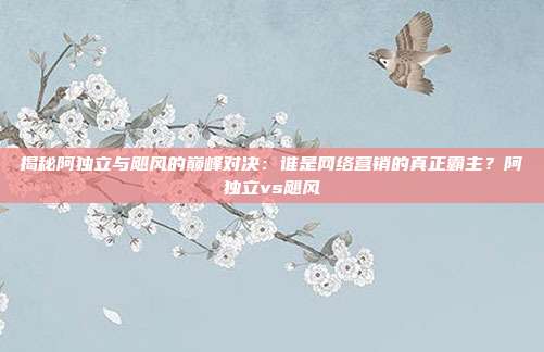 揭秘阿独立与飓风的巅峰对决:谁是网络营销的真正霸主?阿独立vs飓风