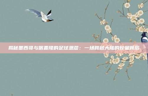 揭秘墨西哥与喀麦隆的足球恩怨：一场跨越大陆的较量背后