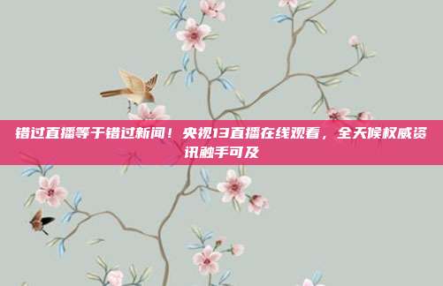 错过直播等于错过新闻！央视13直播在线观看，全天候权威资讯触手可及
