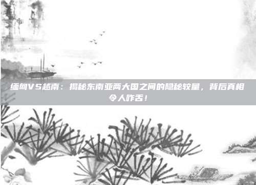 缅甸VS越南:揭秘东南亚两大国之间的隐秘较量,背后真相令人咋舌!