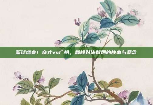 篮球盛宴!奇才vs广州,巅峰对决背后的故事与悬念