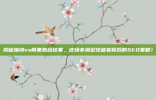 揭秘加纳vs刚果激战结果，这场非洲足球盛宴背后的SEO策略！