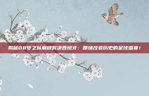 揭秘08梦之队巅峰对决西班牙：那场改变历史的足球盛宴！