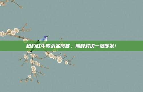 纽约红牛激战圣何塞,巅峰对决一触即发!