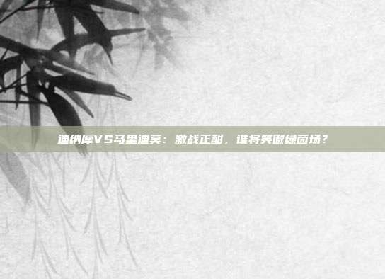 迪纳摩VS马里迪莫：激战正酣，谁将笑傲绿茵场？