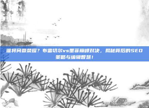 谁将问鼎荣耀？布雷切尔vs墨菲巅峰对决，揭秘背后的SEO策略与编辑智慧！