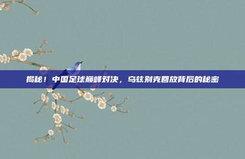 揭秘！中国足球巅峰对决，乌兹别克回放背后的秘密