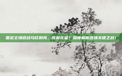 国足主场迎战乌兹别克，胜利在望？深度解析这场关键之战！