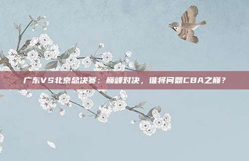 广东VS北京总决赛：巅峰对决，谁将问鼎CBA之巅？