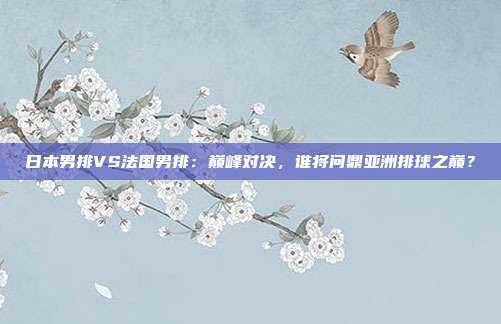 日本男排VS法国男排：巅峰对决，谁将问鼎亚洲排球之巅？