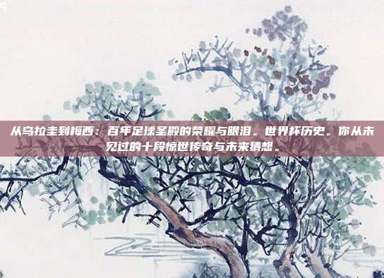 从乌拉圭到梅西：百年足球圣殿的荣耀与眼泪。世界杯历史。你从未见过的十段惊世传奇与未来猜想。