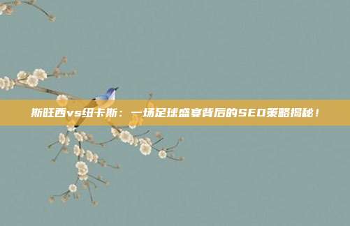 斯旺西vs纽卡斯：一场足球盛宴背后的SEO策略揭秘！