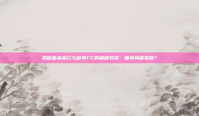 揭秘熊本深红与岐阜FC的巅峰对决:谁将问鼎荣耀?