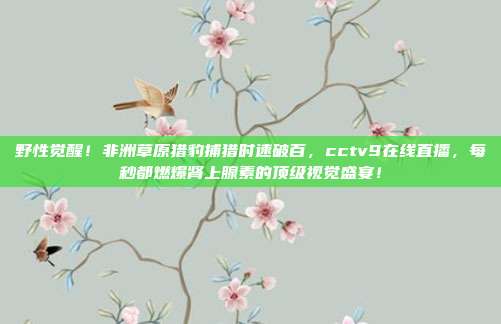 野性觉醒！非洲草原猎豹捕猎时速破百，cctv9在线直播，每秒都燃爆肾上腺素的顶级视觉盛宴！