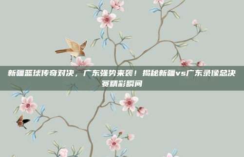 新疆篮球传奇对决,广东强势来袭!揭秘新疆vs广东录像总决赛精彩瞬间