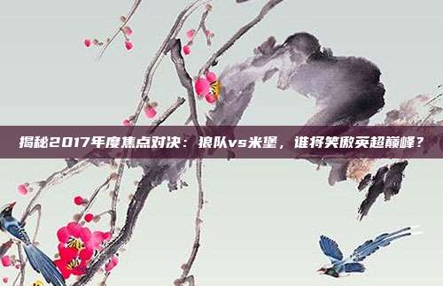 揭秘2017年度焦点对决：狼队vs米堡，谁将笑傲英超巅峰？
