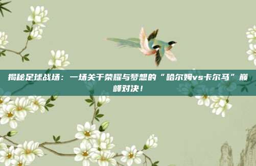 揭秘足球战场：一场关于荣耀与梦想的“哈尔姆vs卡尔马”巅峰对决！
