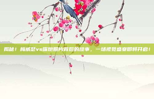 揭秘!梅威瑟vs嘴炮照片背后的故事,一场视觉盛宴即将开启!