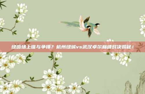 绿茵场上谁与争锋？杭州绿城vs武汉卓尔巅峰对决揭秘！