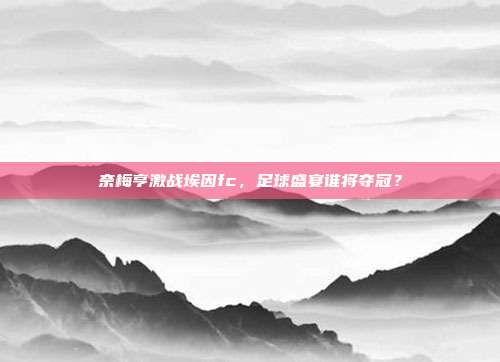奈梅亨激战埃因fc，足球盛宴谁将夺冠？