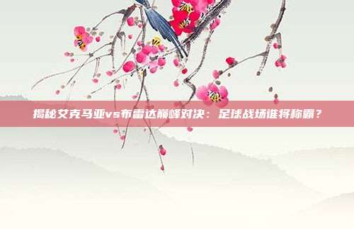 揭秘艾克马亚vs布雷达巅峰对决：足球战场谁将称霸？