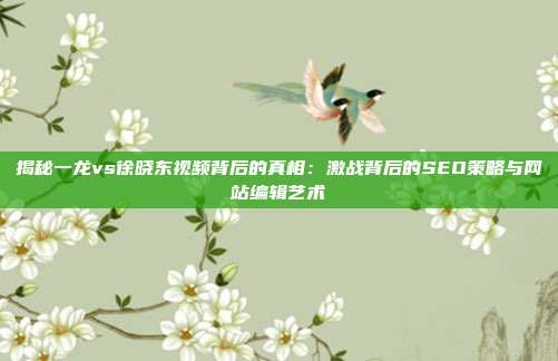 揭秘一龙vs徐晓东视频背后的真相：激战背后的SEO策略与网站编辑艺术