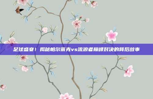 足球盛宴！揭秘帕尔蒂克vs流浪者巅峰对决的背后故事