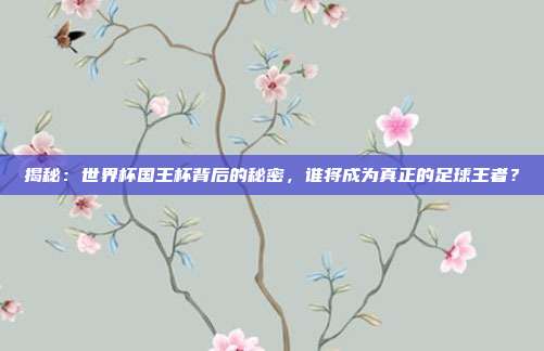 揭秘：世界杯国王杯背后的秘密，谁将成为真正的足球王者？