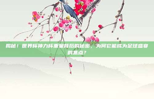 揭秘！世界杯神力杯重量背后的秘密，为何它能成为足球盛宴的焦点？