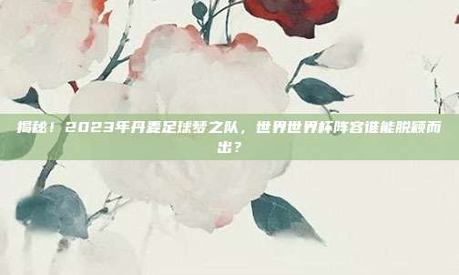 揭秘！2023年丹麦足球梦之队，世界世界杯阵容谁能脱颖而出？