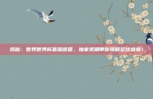 揭秘：世界世界杯直播德国，独家视角带你领略足球盛宴！