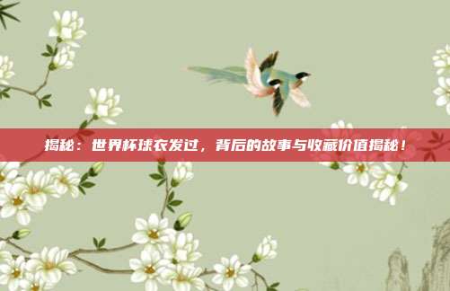 揭秘：世界杯球衣发过，背后的故事与收藏价值揭秘！
