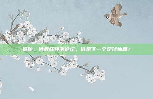揭秘:世界杯预测论坛,谁是下一个足球神算?