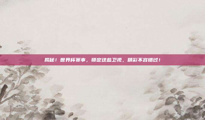 揭秘！世界杯赛事，锁定这些卫视，精彩不容错过！