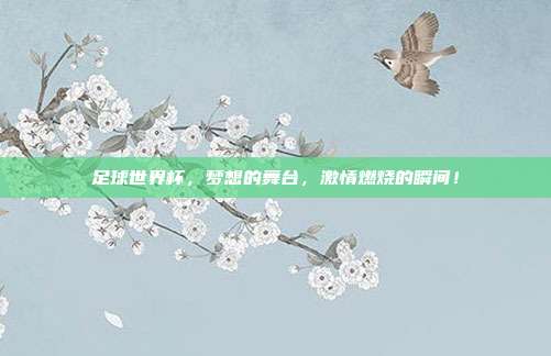 足球世界杯，梦想的舞台，激情燃烧的瞬间！