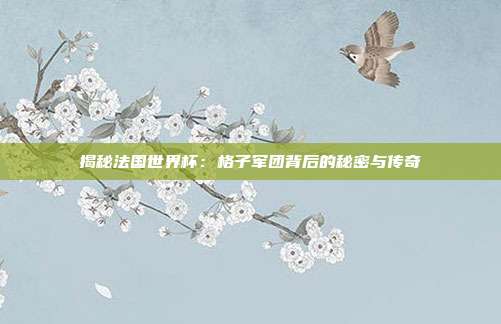 揭秘法国世界杯：格子军团背后的秘密与传奇