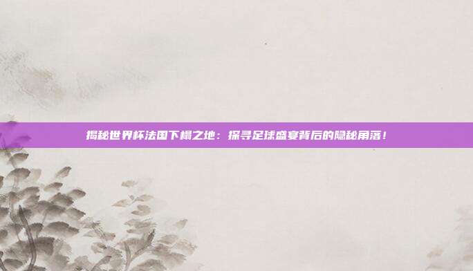 揭秘世界杯法国下榻之地：探寻足球盛宴背后的隐秘角落！
