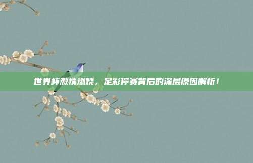 世界杯激情燃烧,足彩停赛背后的深层原因解析!