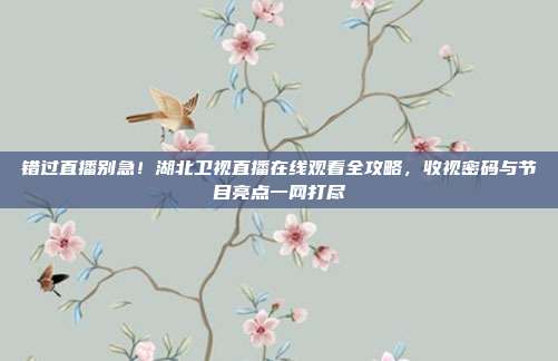错过直播别急！湖北卫视直播在线观看全攻略，收视密码与节目亮点一网打尽
