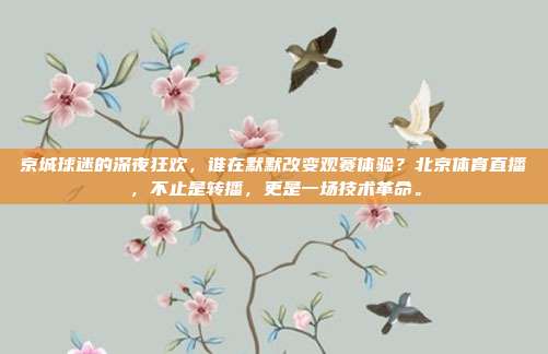 京城球迷的深夜狂欢，谁在默默改变观赛体验？北京体育直播，不止是转播，更是一场技术革命。