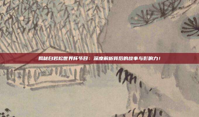 揭秘白岩松世界杯节目：深度解析背后的故事与影响力！