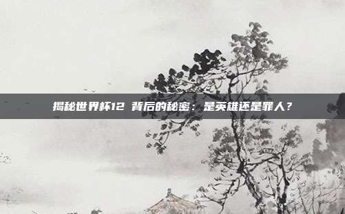 揭秘世界杯12碼背后的秘密：是英雄还是罪人？
