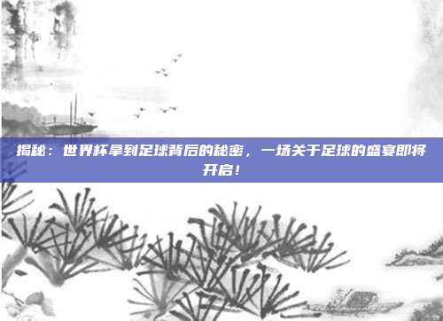 揭秘：世界杯拿到足球背后的秘密，一场关于足球的盛宴即将开启！