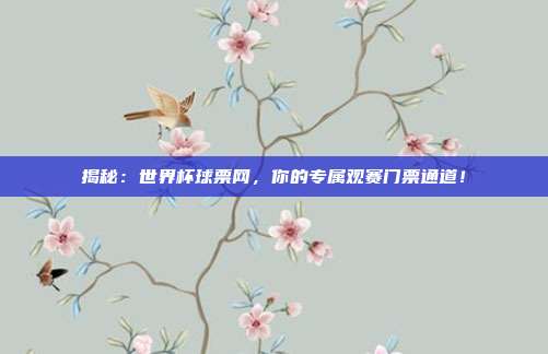 揭秘:世界杯球票网,你的专属观赛门票通道!