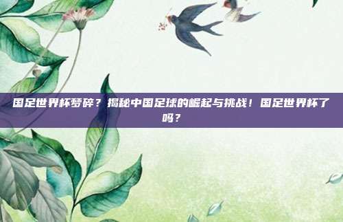 国足世界杯梦碎?揭秘中国足球的崛起与挑战!国足世界杯了吗?