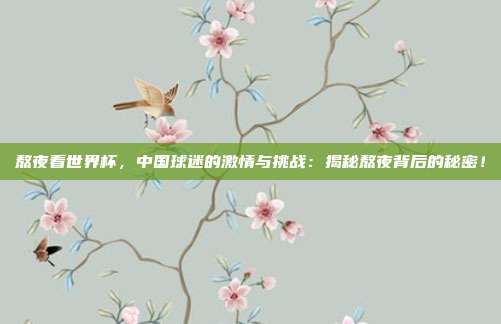 熬夜看世界杯，中国球迷的激情与挑战：揭秘熬夜背后的秘密！