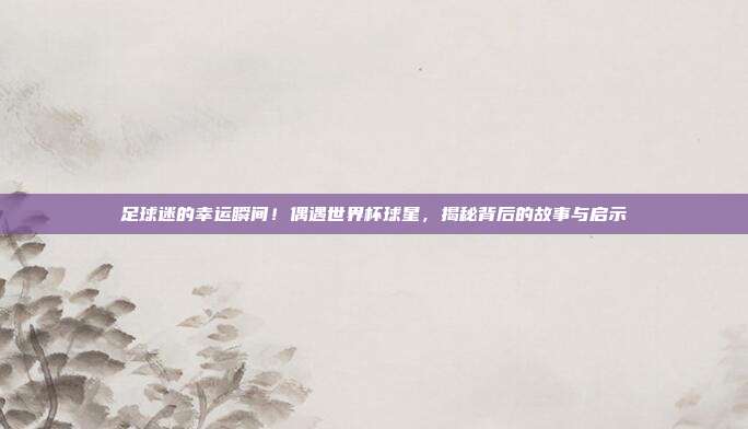 足球迷的幸运瞬间！偶遇世界杯球星，揭秘背后的故事与启示