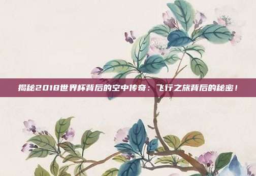 揭秘2018世界杯背后的空中传奇：飞行之旅背后的秘密！