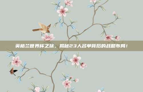 英格兰世界杯之旅，揭秘23人名单背后的战略布局！