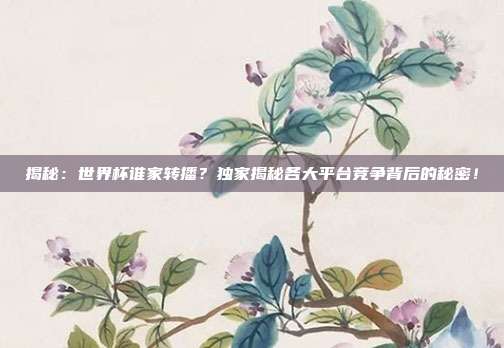 揭秘:世界杯谁家转播?独家揭秘各大平台竞争背后的秘密!